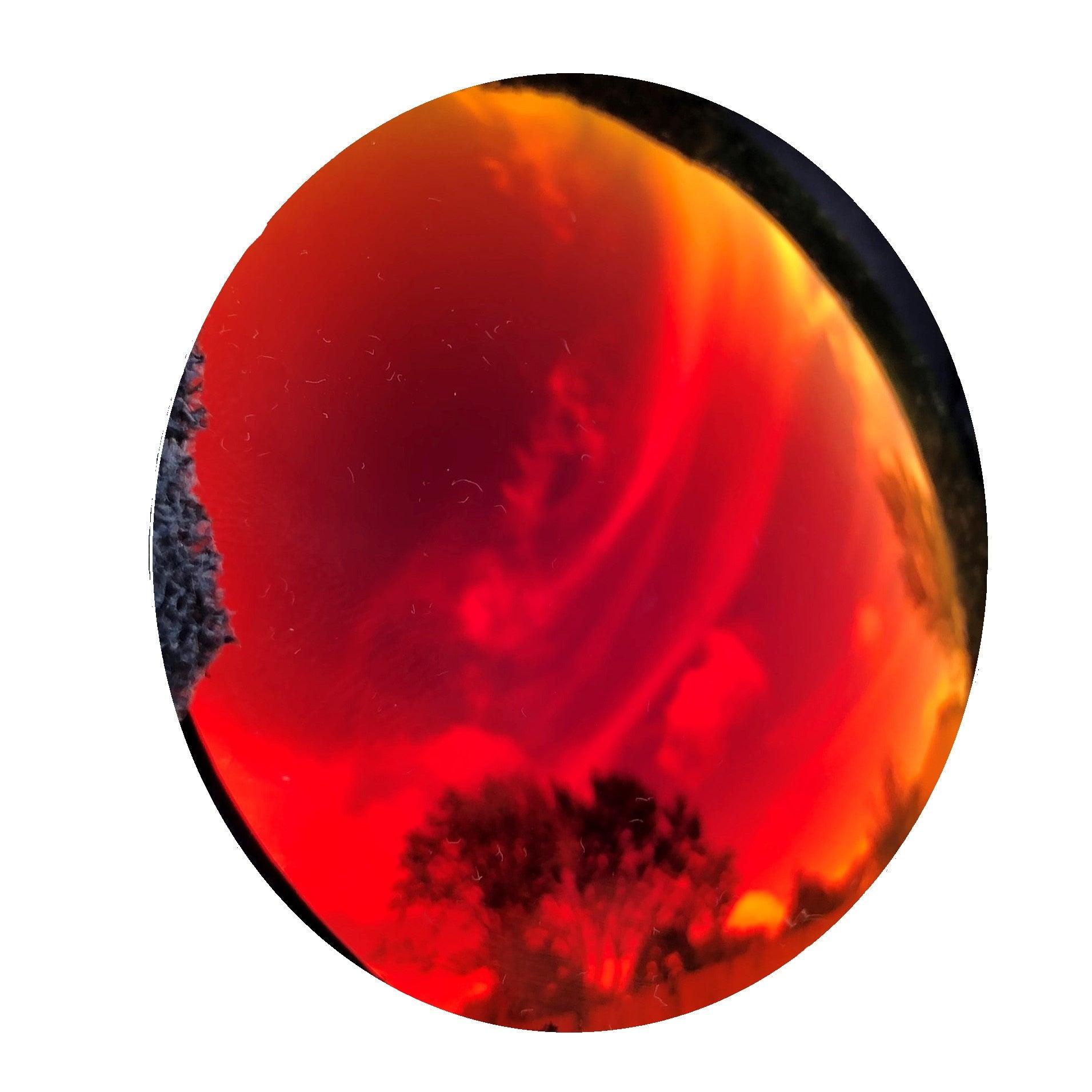 ABOM ONE ゴーグル SUNRISE RED MIRROR ケース付き Red Mirror Sunglass Lenses | Replacement prescription lenses